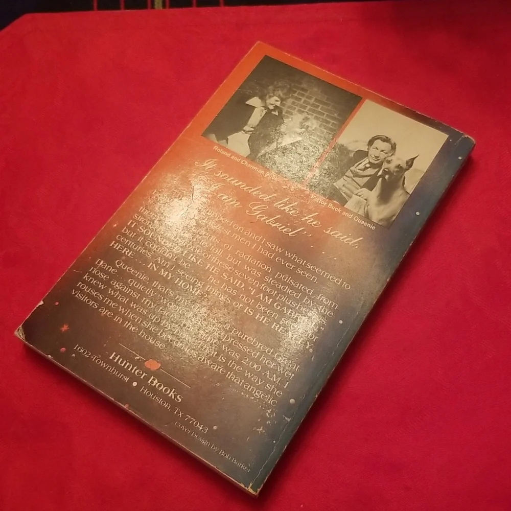 Angels on Assignment Book - Picture 2 of 2